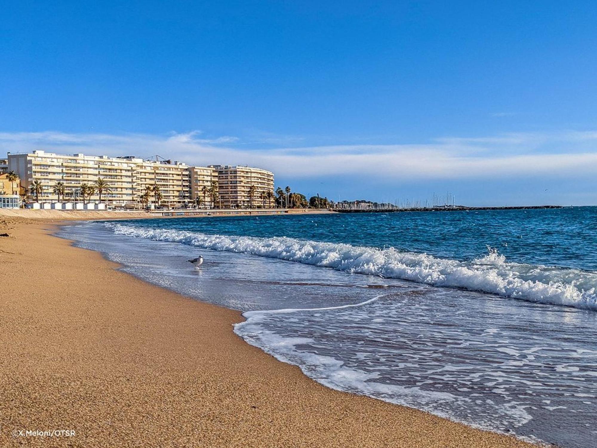 Studio Cabine A St-Raphael Avec Terrasse Et Parking, A 100M De La Plage - Fr-1-226A-23 Saint-Raphaël Eksteriør billede